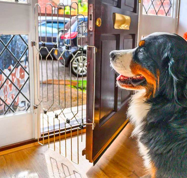 Front Door Dog Gate - Dog G8