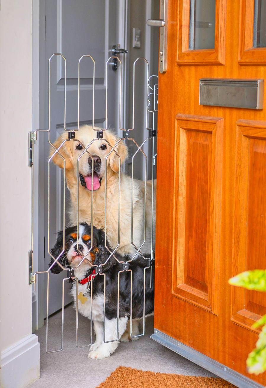 Front Door Dog Gate - Dog G8