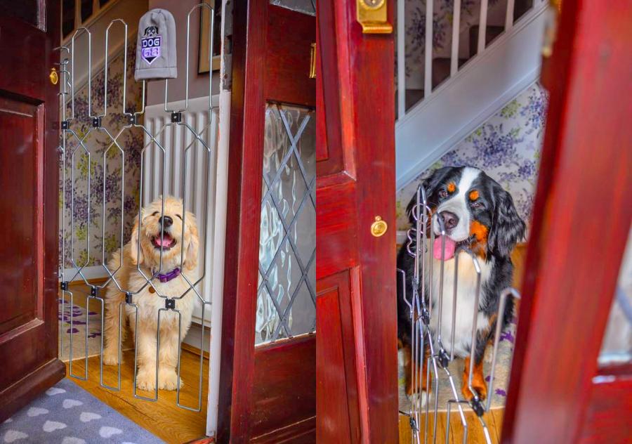 Front Door Dog Gate - Dog G8