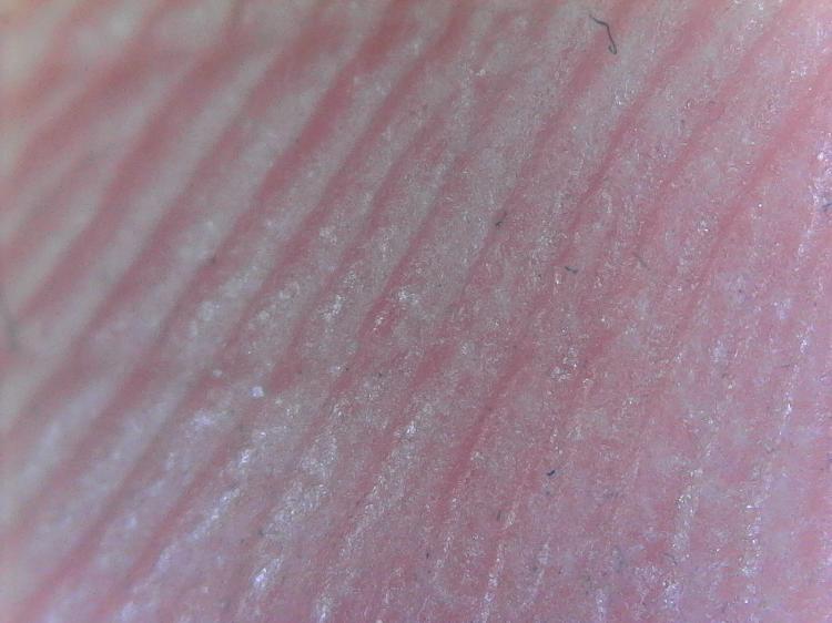 Magnified Finger Print