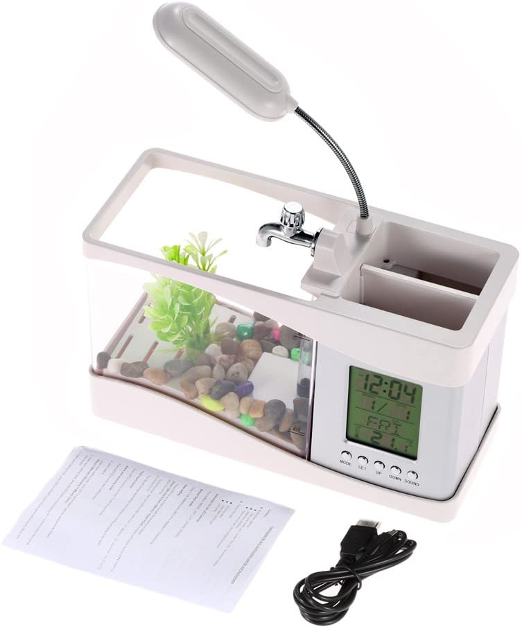 USB Powered Desk Aquarium
