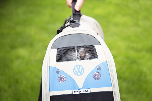 Volkswagen Van Pet Carrier - VW hippy van cat and dog carrier