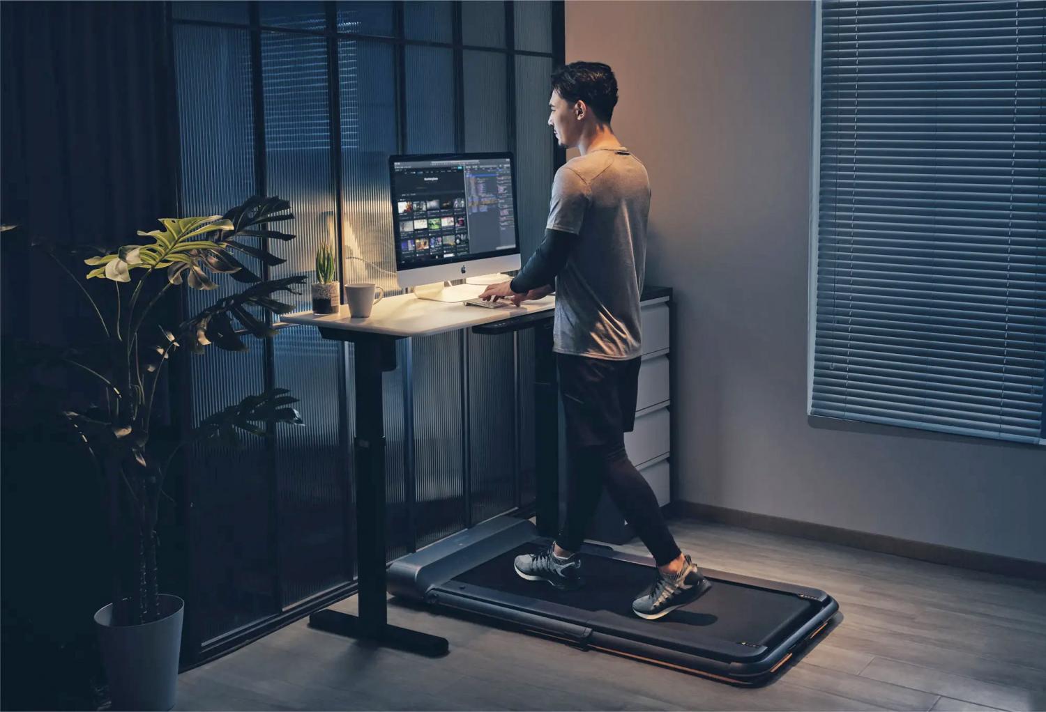 WalkingPad Tiny Folding Treadmill