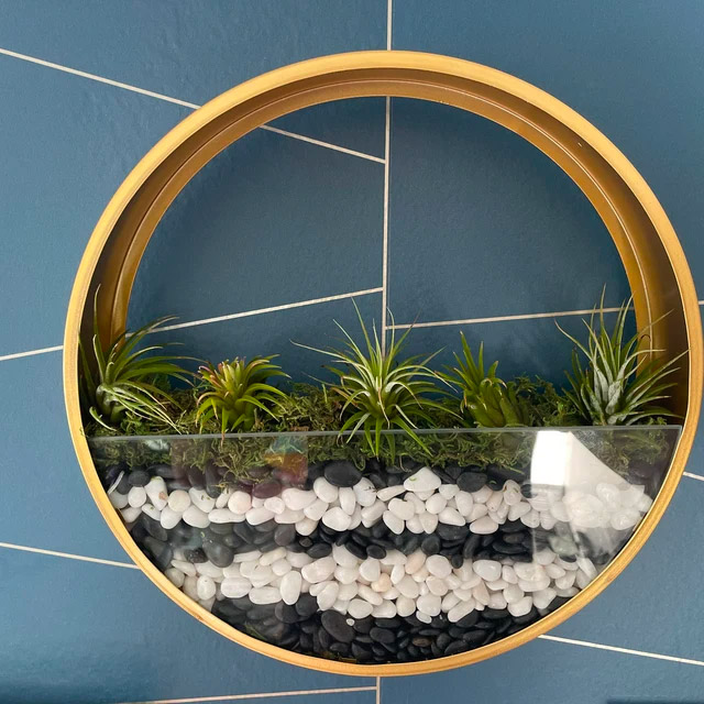 Wall Mounted Circular Terrariums