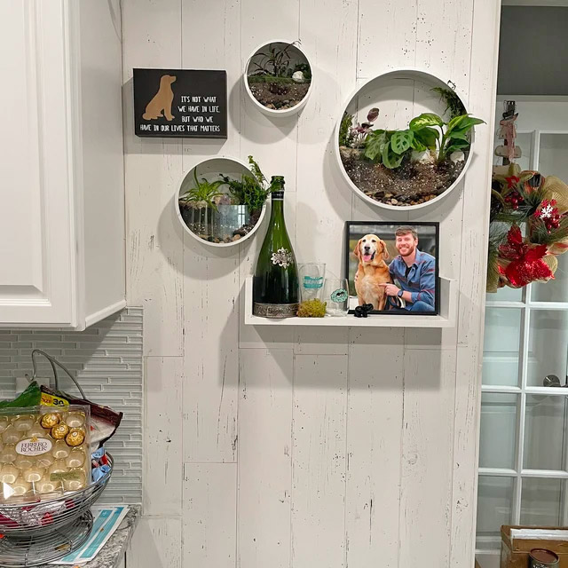 Wall Mounted Circular Terrariums