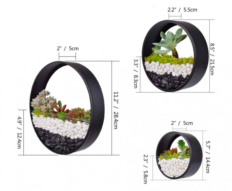 Wall Mounted Circular Terrariums