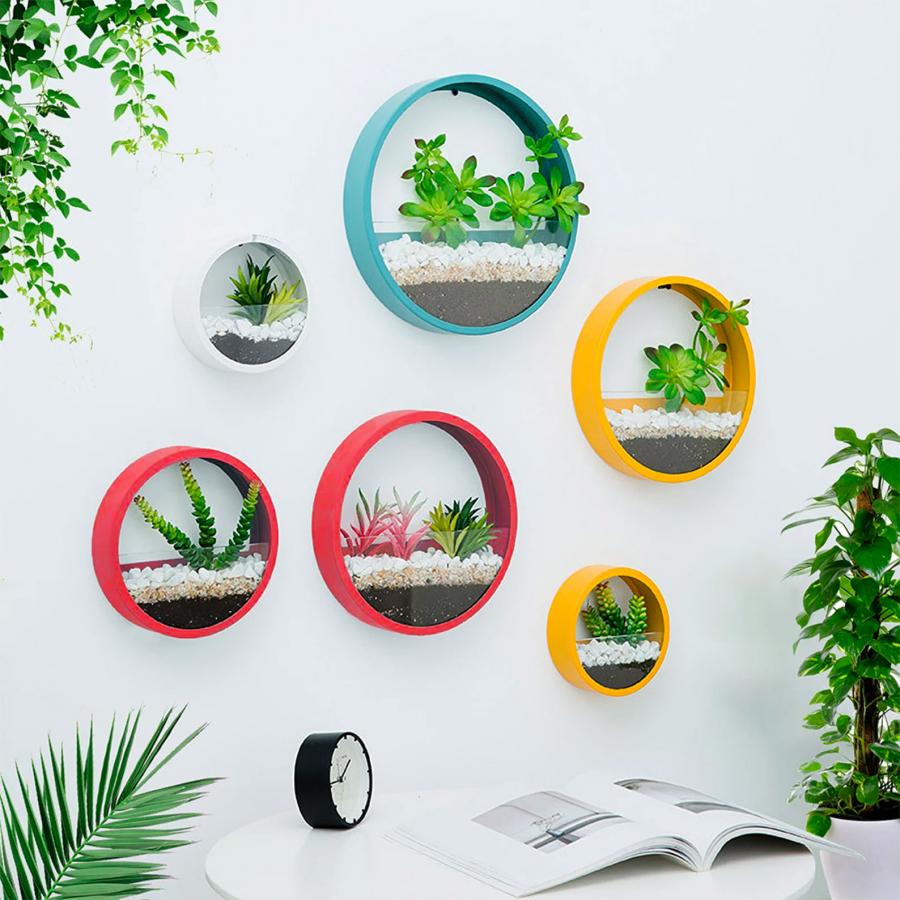 Wall Mounted Circular Terrariums
