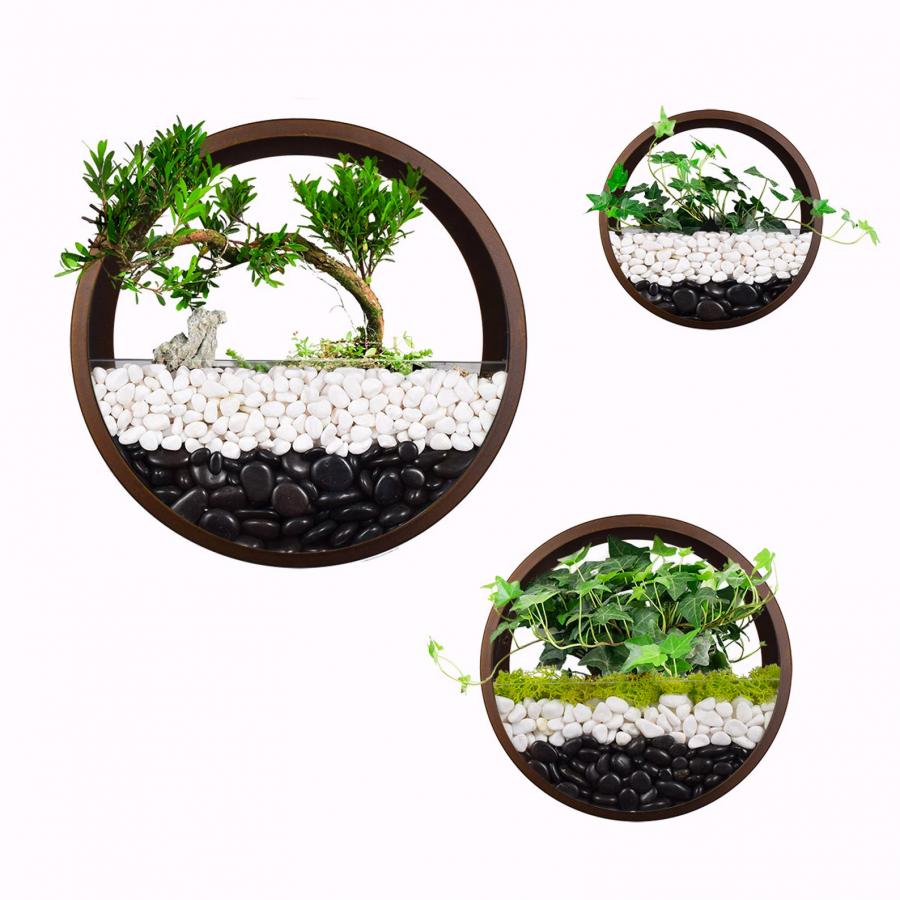 Wall Mounted Circular Terrariums