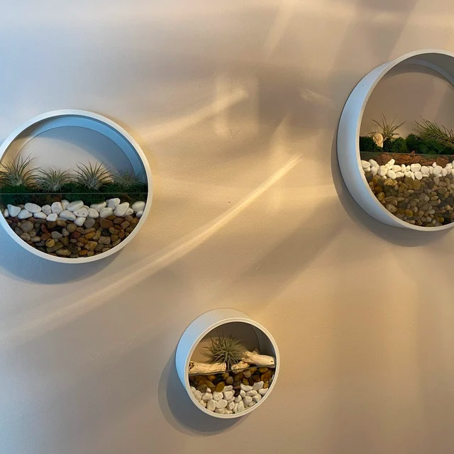 Wall Mounted Circular Terrariums
