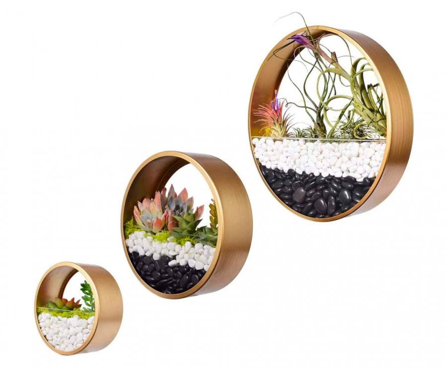 Wall Mounted Circular Terrariums