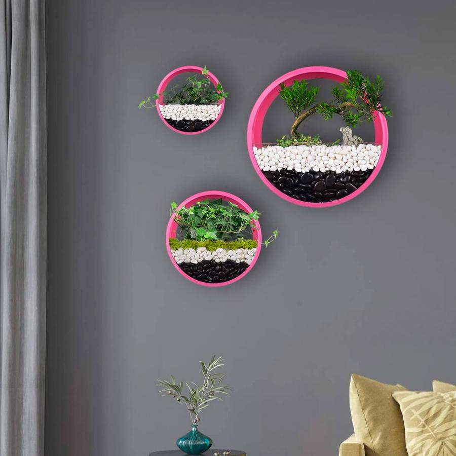 Wall Mounted Circular Terrariums