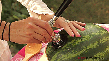 Watermelon Keg Tap - Kegworks Keg Tap Turns Any Watermelon Into a Drink Dispenser