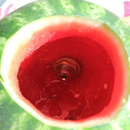 Watermelon Keg Tap - Kegworks Keg Tap Turns Any Watermelon Into a Drink Dispenser