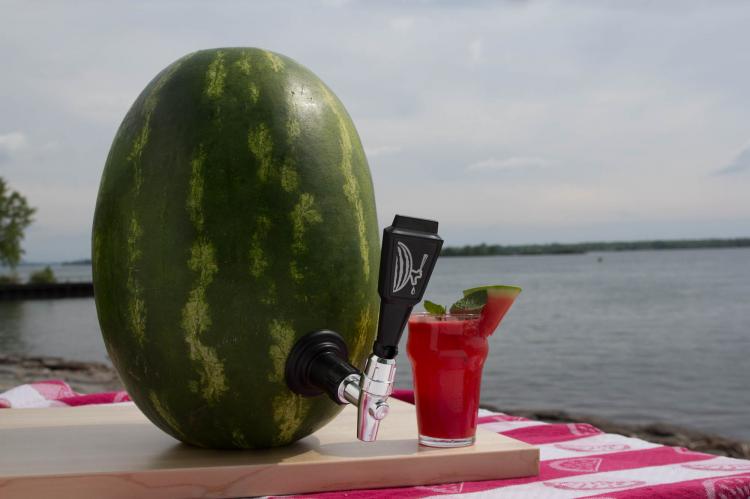 Watermelon Keg Tap - Kegworks Keg Tap Turns Any Watermelon Into a Drink Dispenser