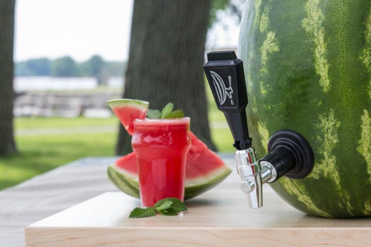Watermelon Keg Tap - Kegworks Keg Tap Turns Any Watermelon Into a Drink Dispenser