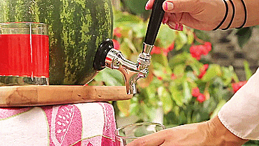 Watermelon Keg Tap - Kegworks Keg Tap Turns Any Watermelon Into a Drink Dispenser