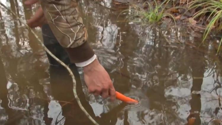 Garrett Pro-Pointer Mini Waterproof Metal Detector - Treasure hunt underwater in lakes, rivers, and the ocean