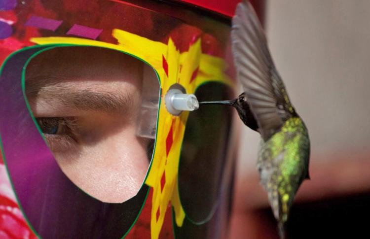 Wearable Hummingbird Feeder Mask