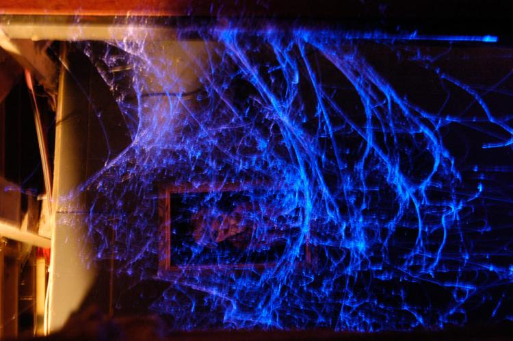 Webcaster Gun Shoots Out Halloween Spider Web Decorations - Cobweb Gun - Spider Web Gun