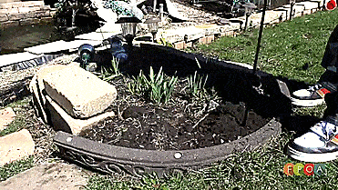 WeedNtill: Weeding and Tilling Tool, Connects To Your Cordless Drill