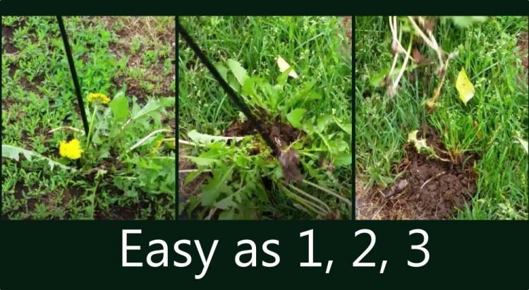 WeedNtill: Weeding and Tilling Tool, Connects To Your Cordless Drill