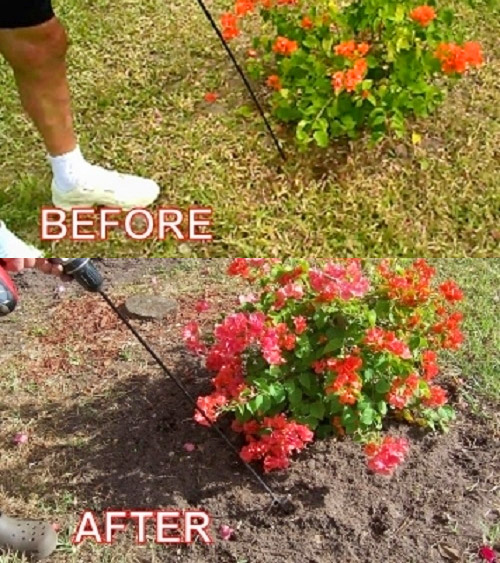 WeedNtill: Weeding and Tilling Tool, Connects To Your Cordless Drill