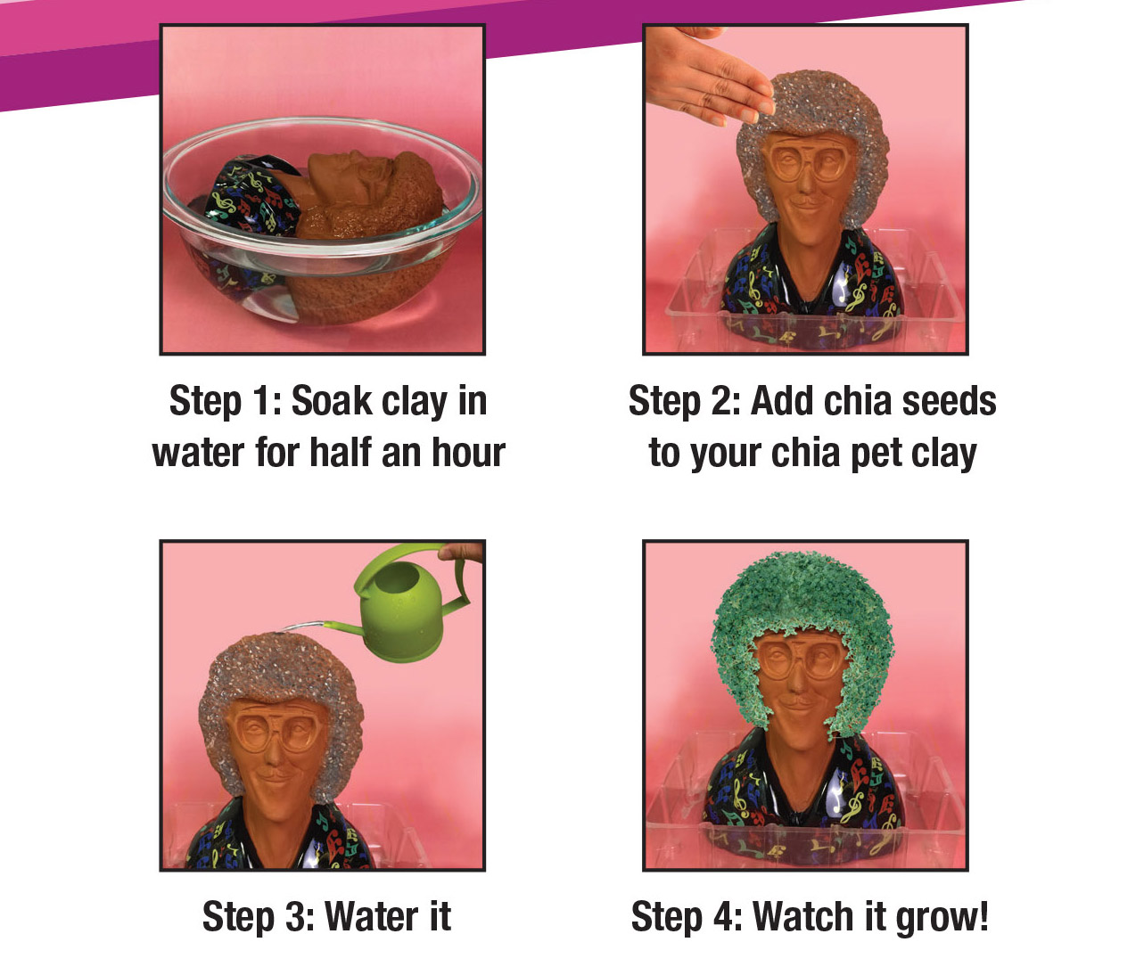 Weird Al Yankovic Chia Pet