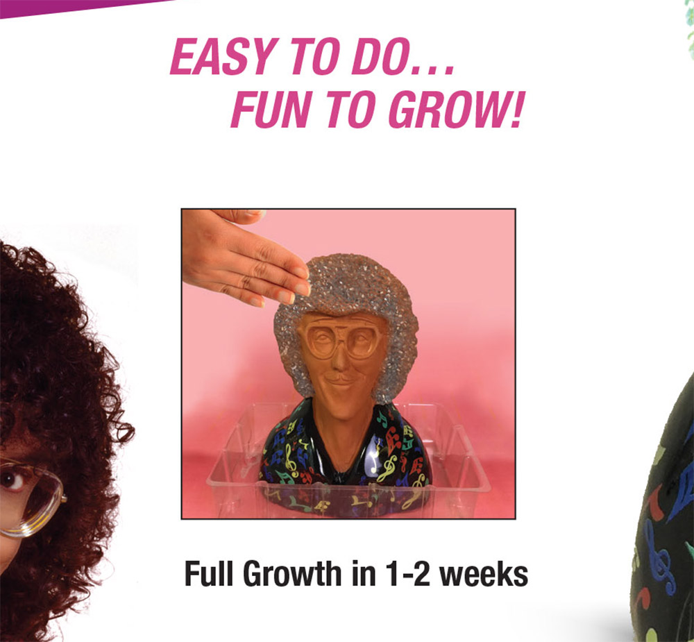 Weird Al Yankovic Chia Pet
