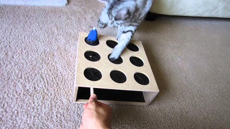 Mouse on a stick cat toy - Wack-a-mouse cat toy