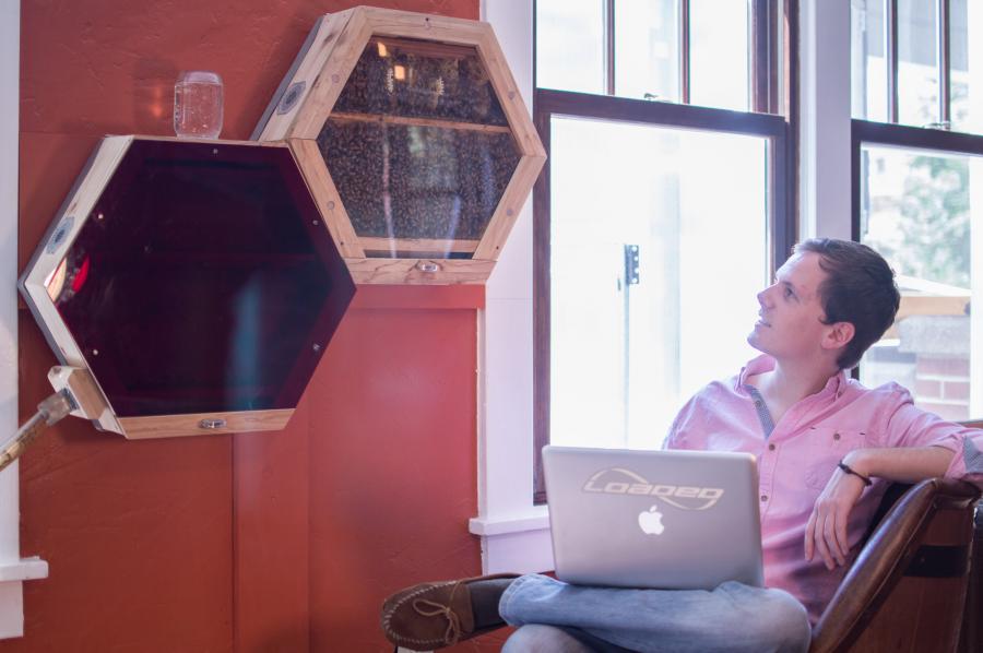 Beecosystem wall mounted indoor beehive with tube through window