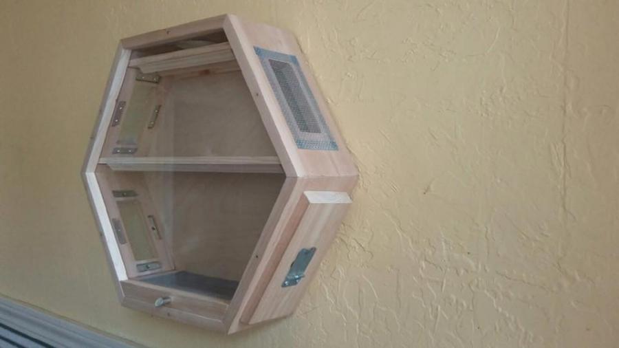 Beecosystem wall mounted indoor beehive with tube through window