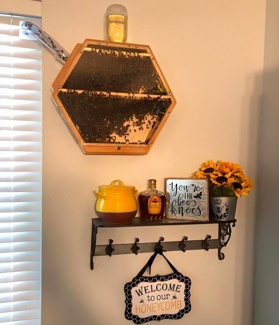 Beecosystem wall mounted indoor beehive with tube through window