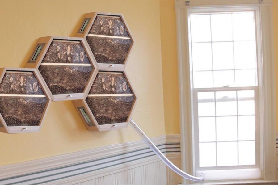 Beecosystem wall mounted indoor beehive with tube through window