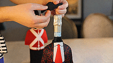 Wine Bottle Costume - Unique wine bottle covers