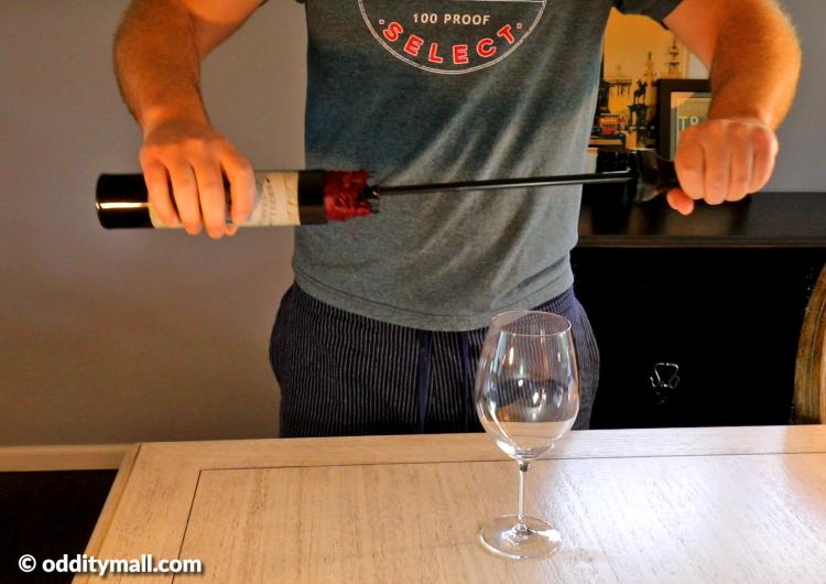 Wine bottle umbrella - Secret umbrella hidden inside fake wine bottle