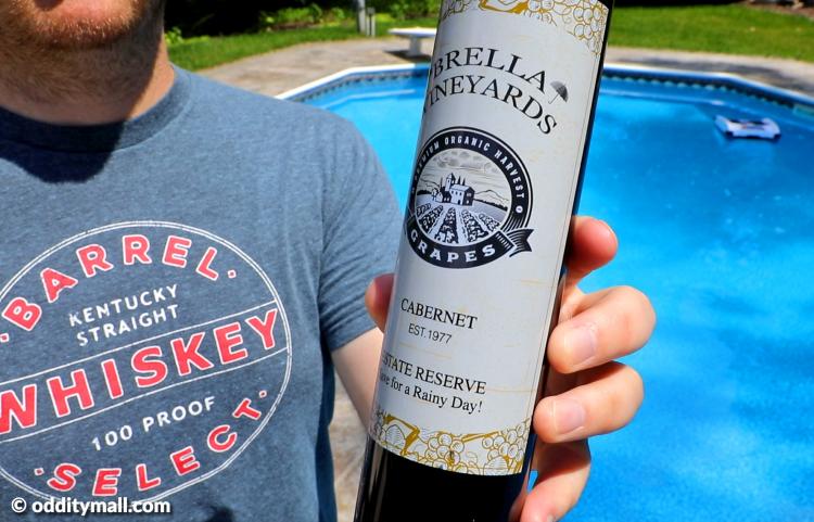 Wine bottle umbrella - Secret umbrella hidden inside fake wine bottle