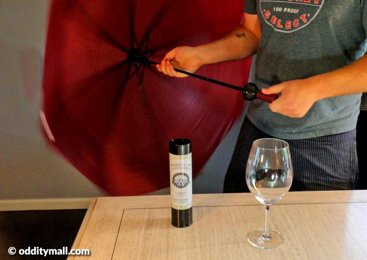 Wine bottle umbrella - Secret umbrella hidden inside fake wine bottle
