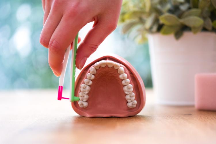 WingBrush Genius New Flossing Tool - Push button teeth flossing device