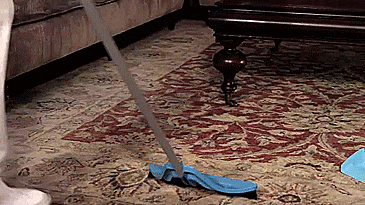Wisp One handed broom - stand while sweeping into dustpan - Unique broom with tons of features