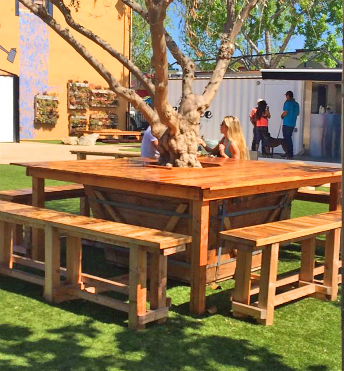 Wrap-Around Tree Bench - Wrapping wooden tree table