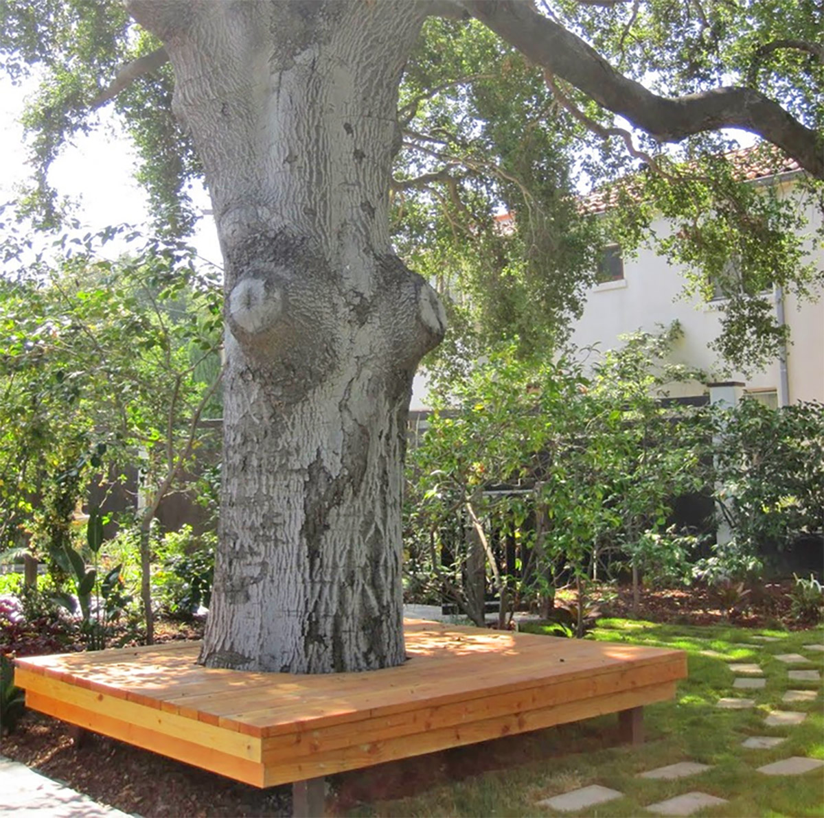 Wrap-Around Tree Bench - Wrapping wooden tree table