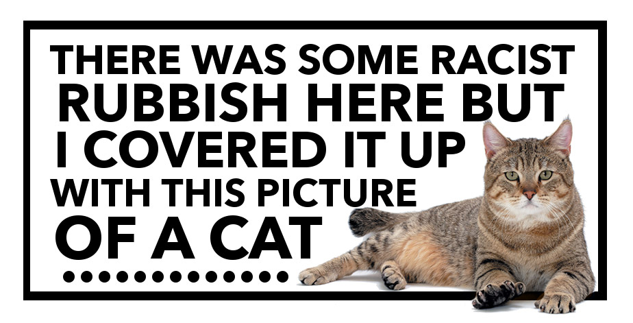 Giant Cat Sticker To Cover Up Racist Graffiti On The Streets - Manchester cat stickers
