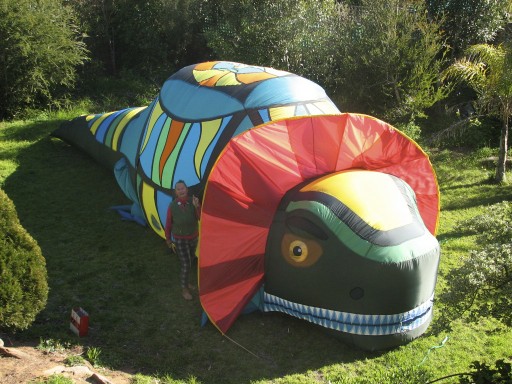 Giant inflatable frill neck lizard - Evelyn Roth