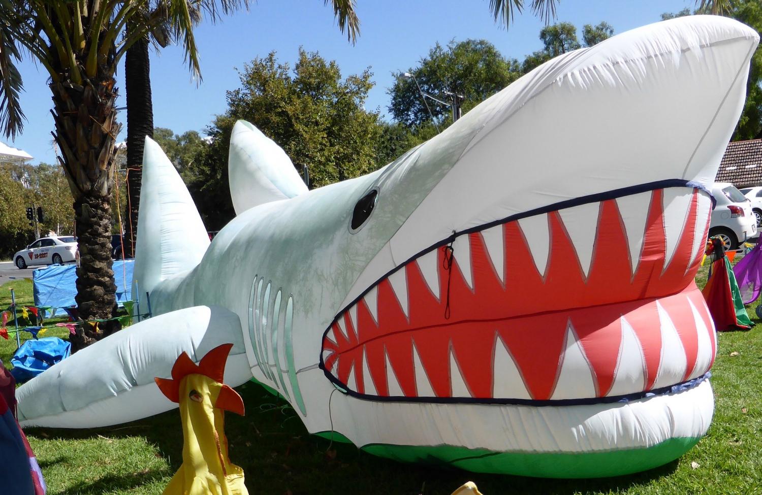 Giant inflatable shark - Evelyn Roth