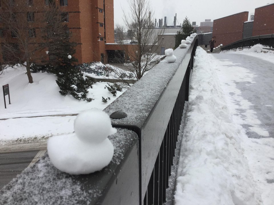 Duck shaped snowball maker - Duck snow clamp toy makes duck shaped snowballs