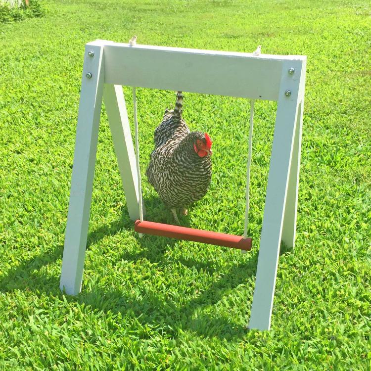Chicken Swing Set