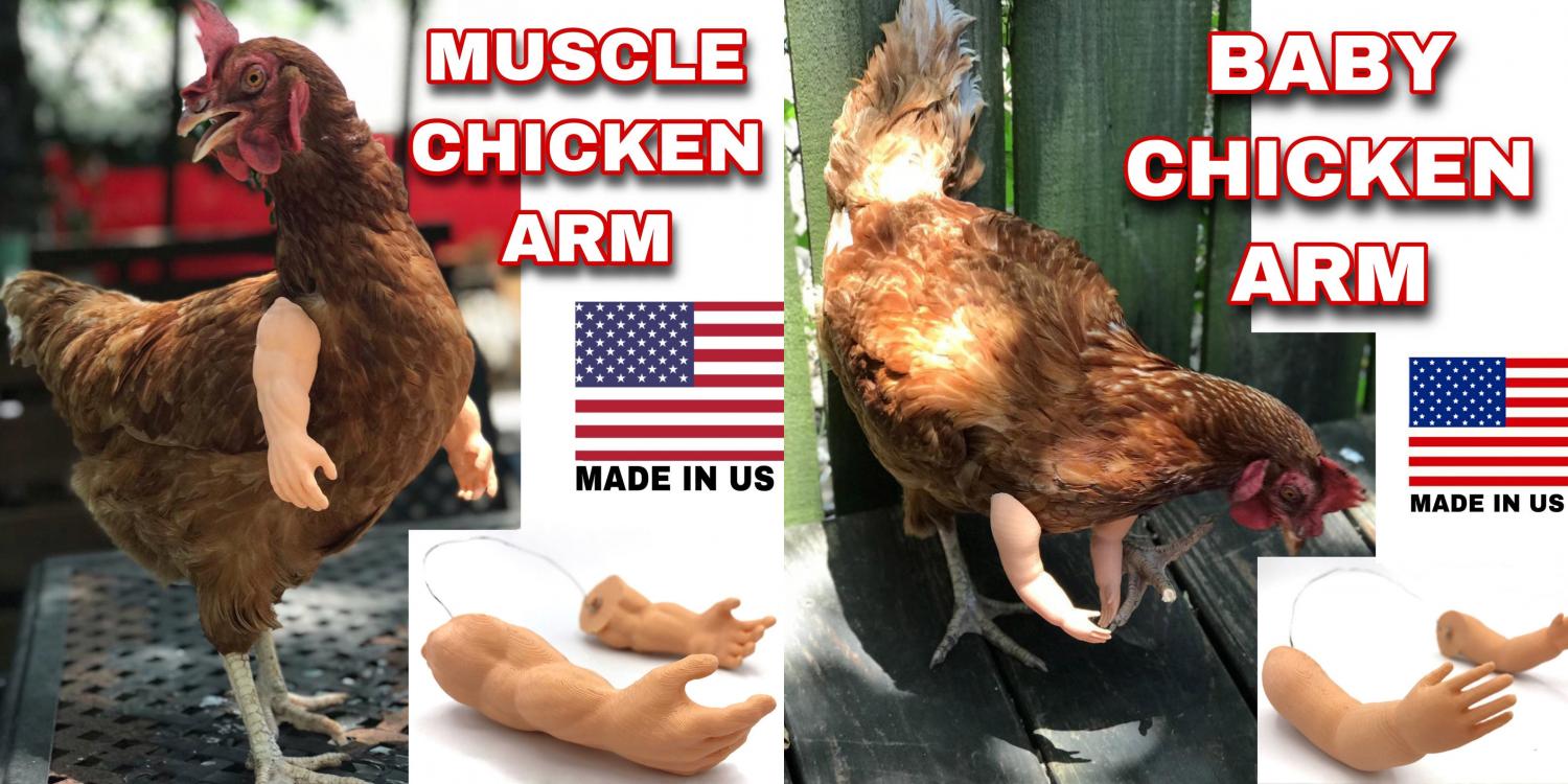 Give your chickens arms - Baby Doll arms for chickens