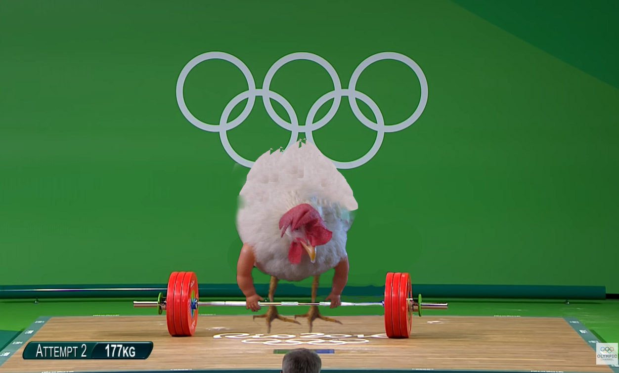 Give your chickens arms - Baby Doll arms for chickens