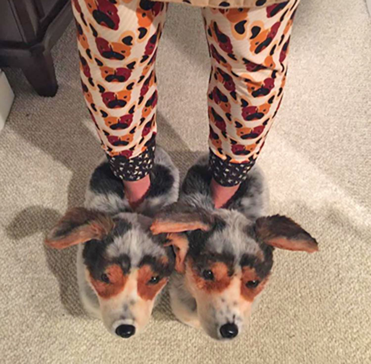 Cuddle Clones Slippers - Custom slippers made to look like your dog or cat - Pet Slippers