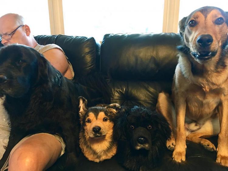 Cuddle Clones Slippers - Custom slippers made to look like your dog or cat - Pet Slippers
